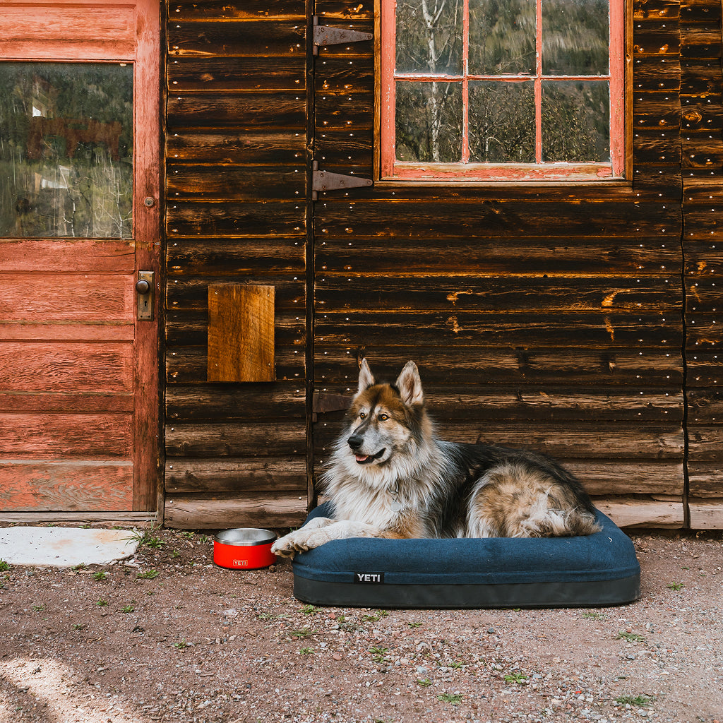 Big dog lying on a YETI Boomer Dog Bed next to a YETI Boomer Dog Bowl