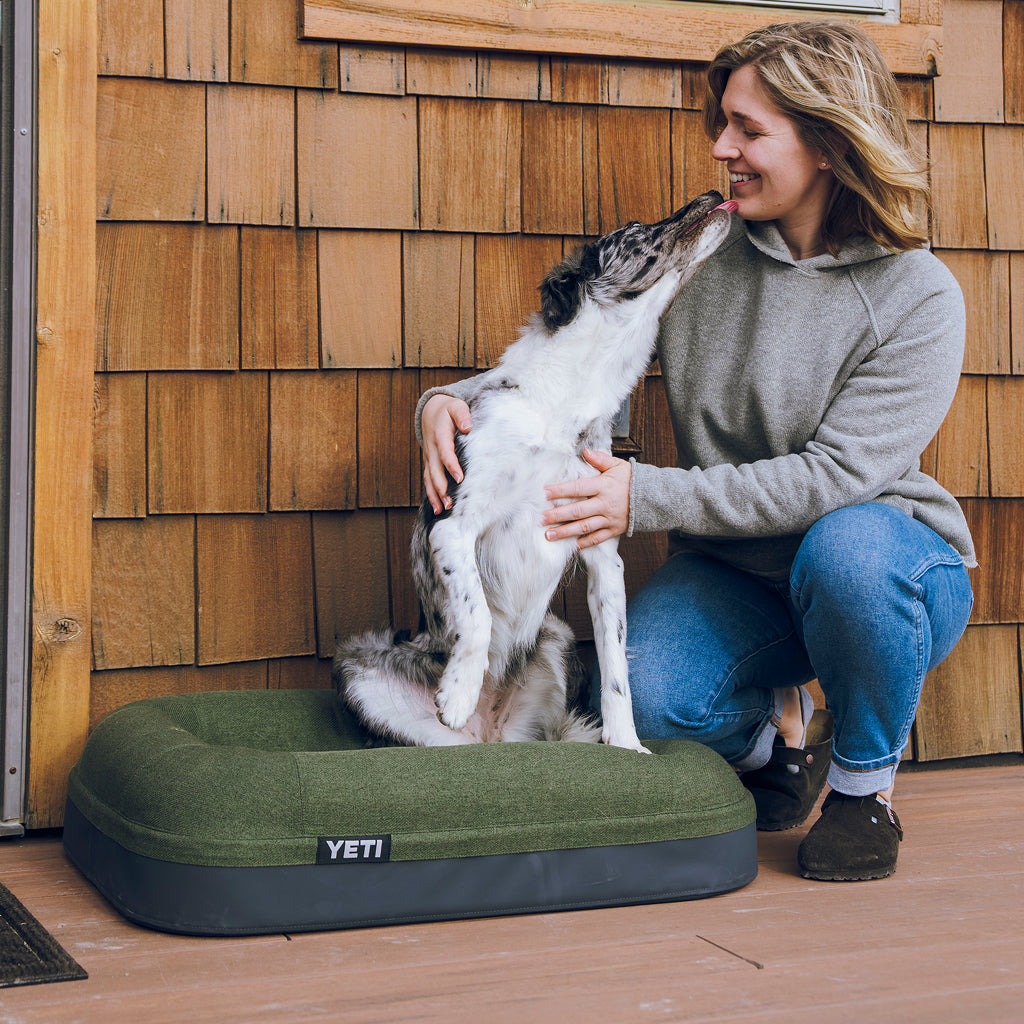 Dog sitting on a YETI dog bed 